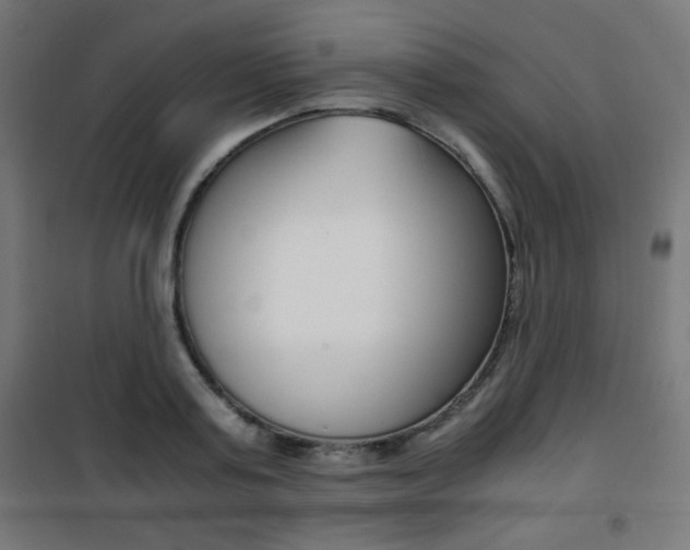 X0000101390795200807071004
