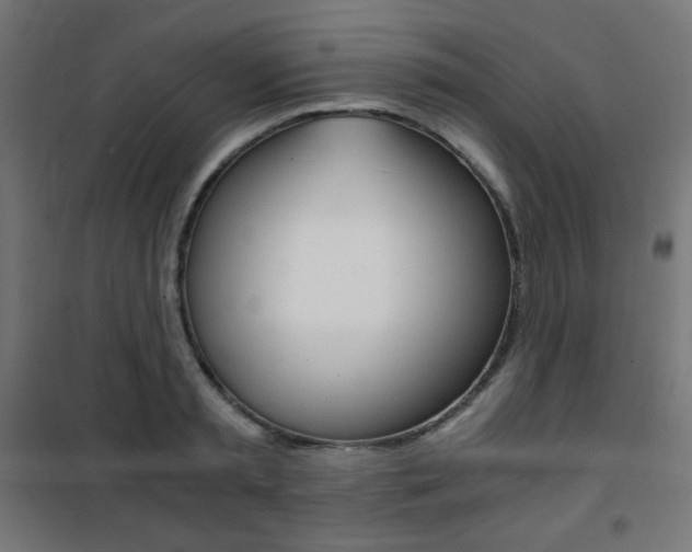 X0000101390797200807071004