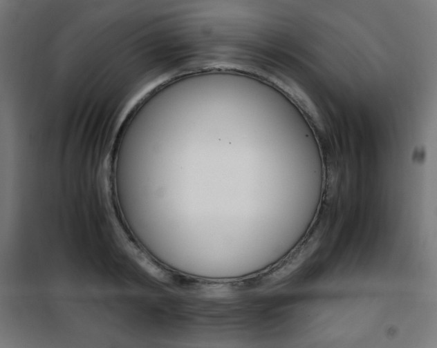 X0000101390798200807071004