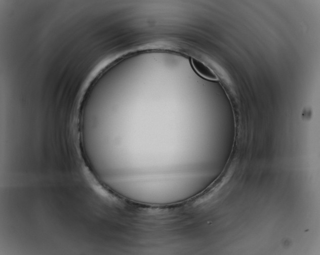 X0000101390800200807071004
