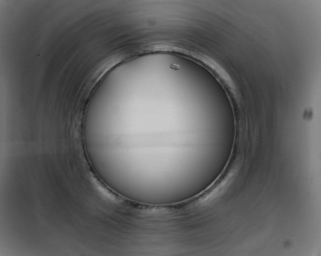 X0000101390801200807071004
