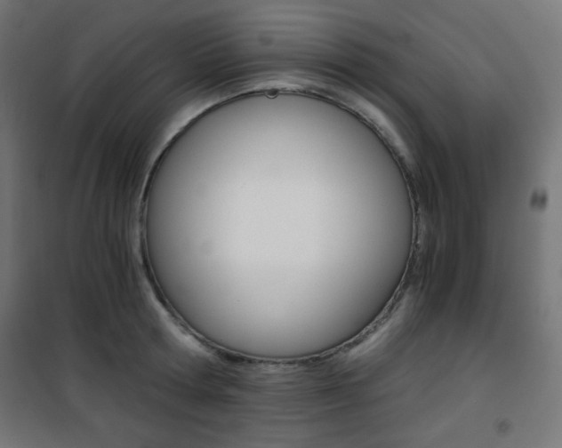 X0000101390802200807071004