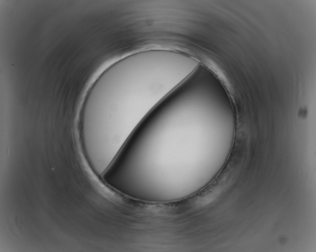 X0000101390803200807071004