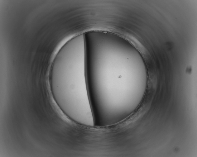 X0000101390804200807071004