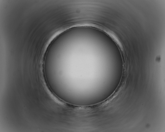 X0000101390805200807071004