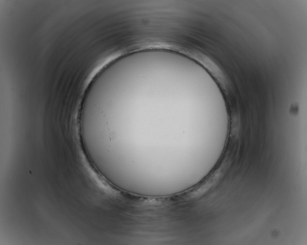 X0000101390806200807071003