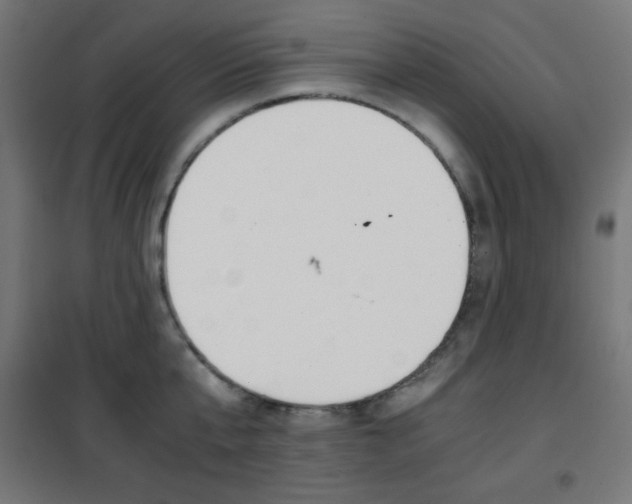 X0000101390807200807071003