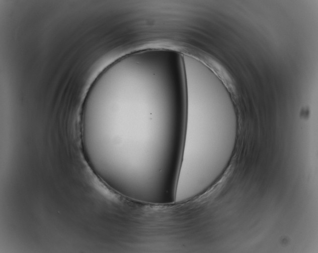 X0000101390808200807071003