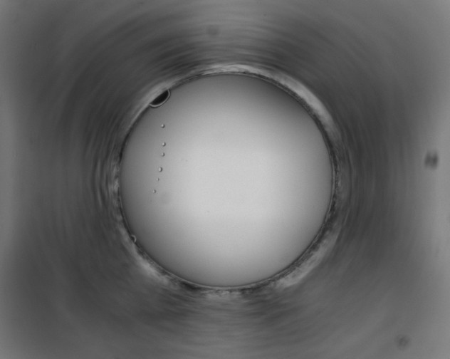 X0000101390809200807071003