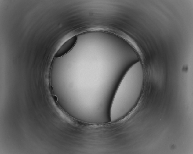 X0000101390810200807071003