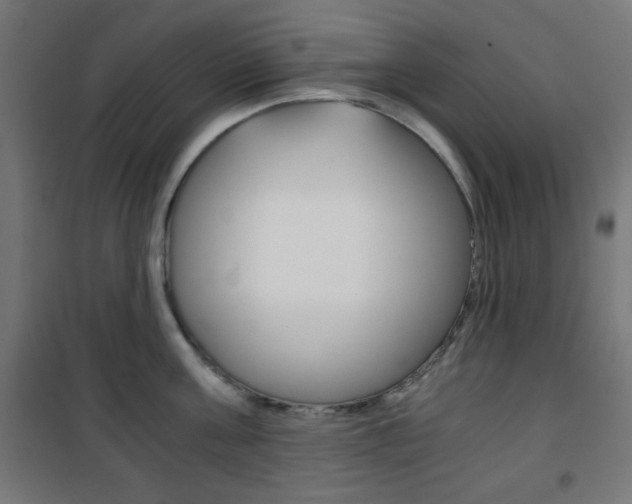 X0000101390811200807071003