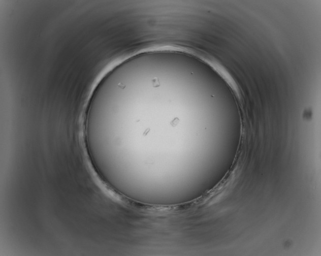 X0000101390813200807071003