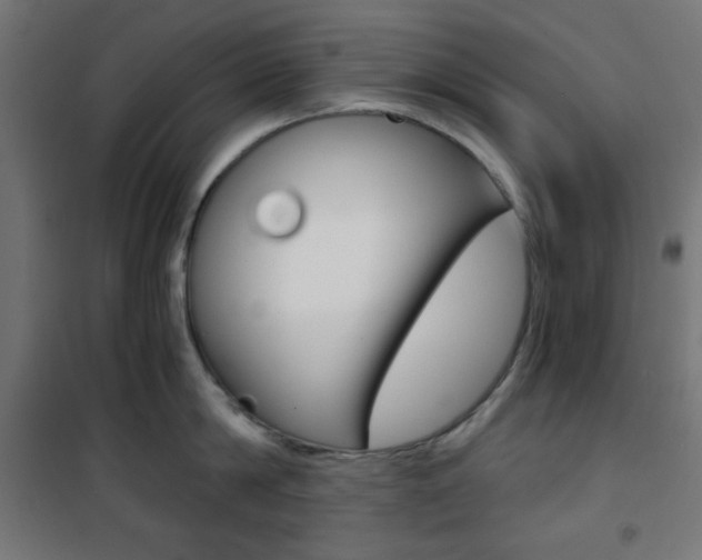 X0000101390814200807071003