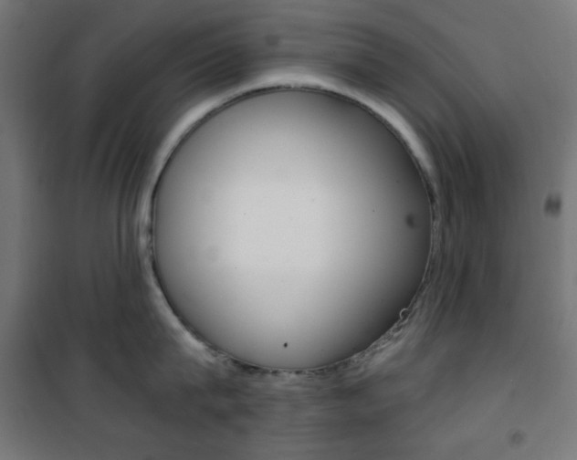 X0000101390815200807071003