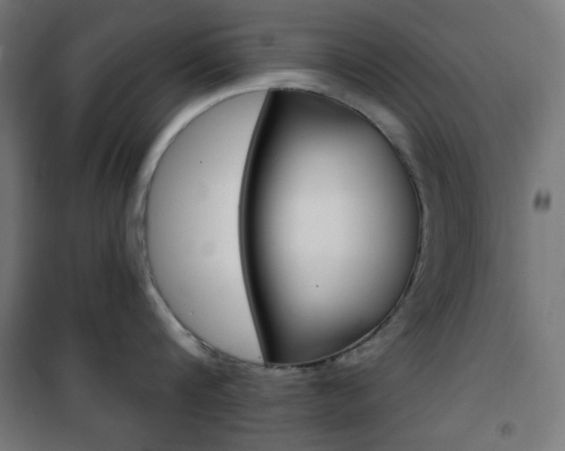 X0000101390816200807071003