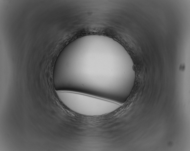 X0000101390817200807071003