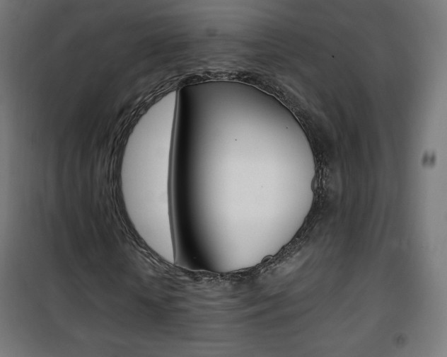 X0000101390818200807071003