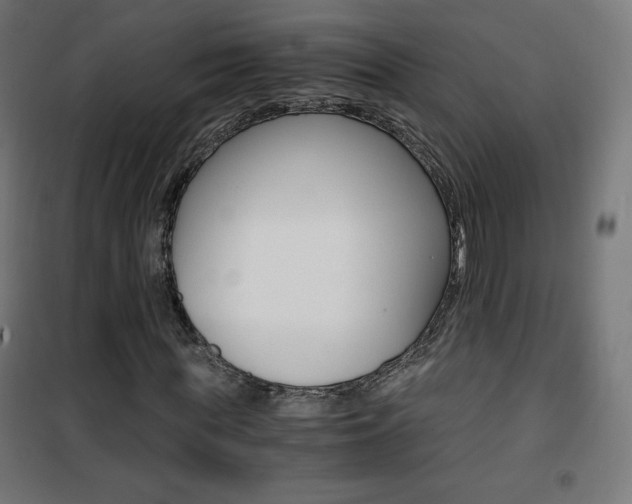 X0000101390819200807071003