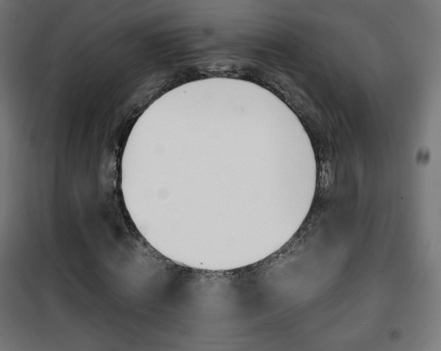 X0000101390820200807071003