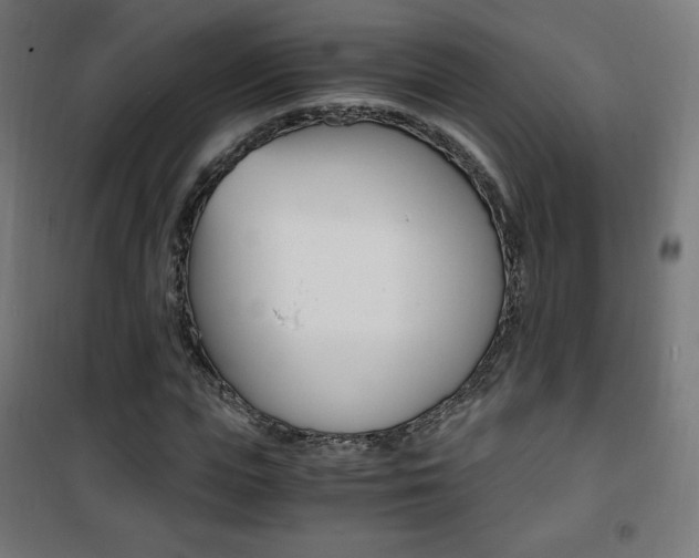 X0000101390823200807071003