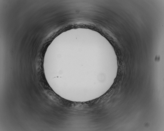 X0000101390824200807071003