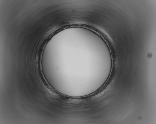 X0000101390825200807071003