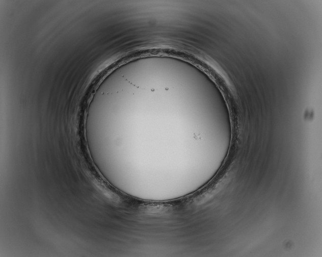 X0000101390826200807071003