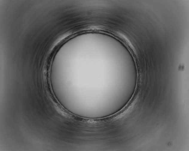 X0000101390827200807071003