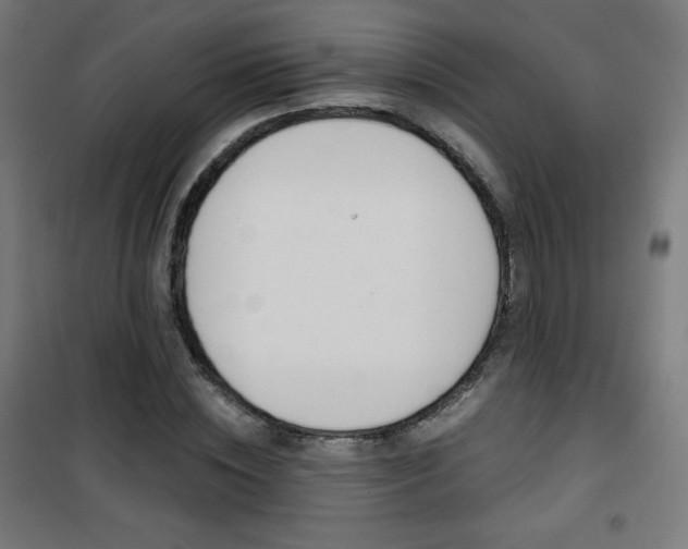 X0000101390828200807071003