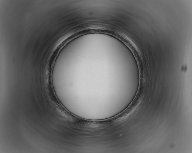 X0000101390829200807071003