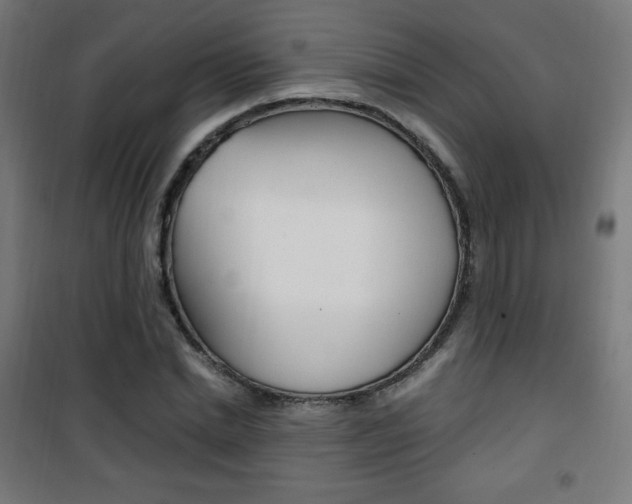 X0000101390830200807071003