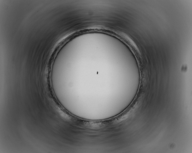 X0000101390831200807071003