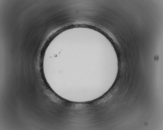 X0000101390832200807071003