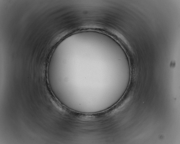 X0000101390833200807071003