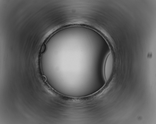 X0000101390834200807071003