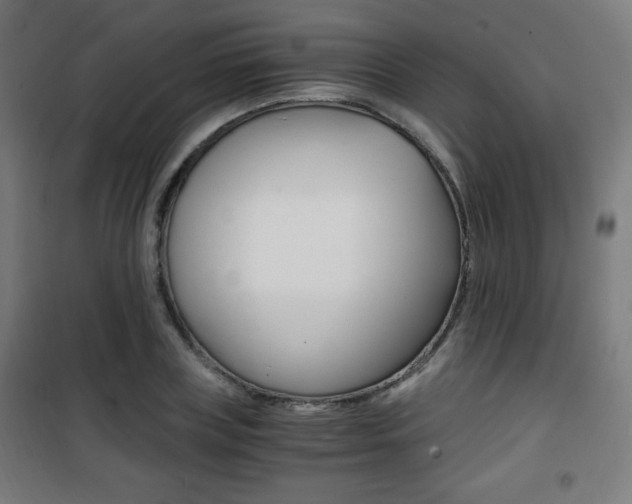 X0000101390835200807071003