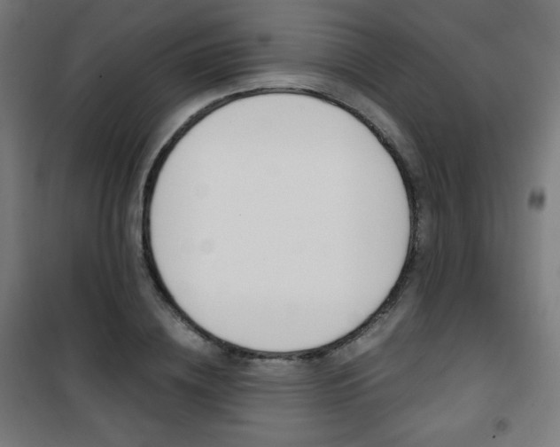 X0000101390836200807071003