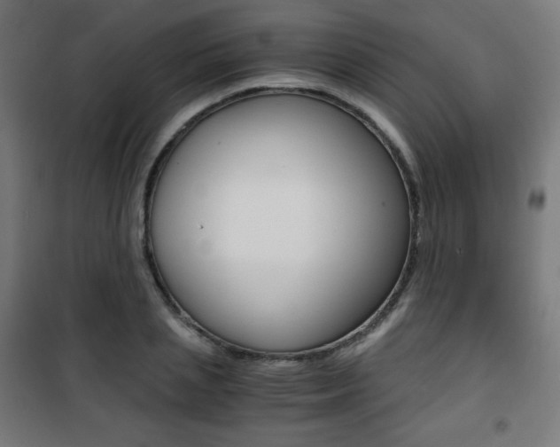X0000101390837200807071003