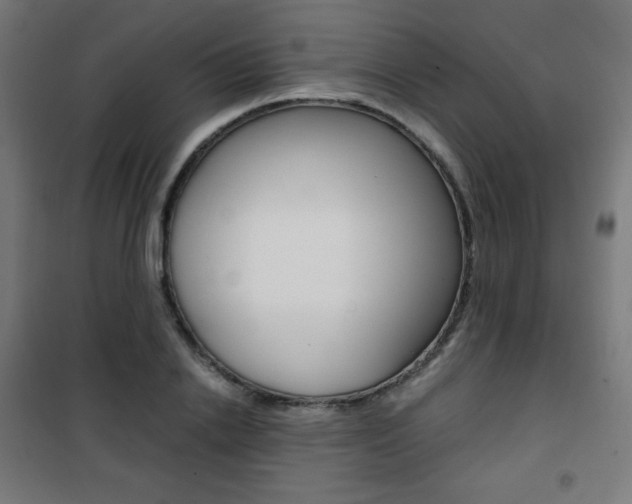X0000101390838200807071003