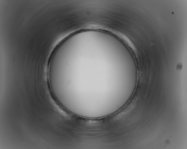 X0000101390839200807071003