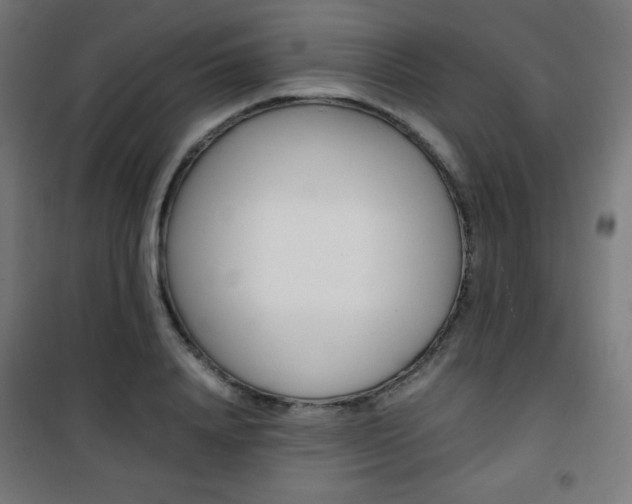 X0000101390840200807071003
