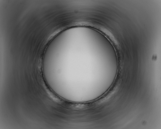X0000101390841200807071003