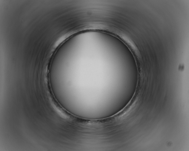X0000101390842200807071003