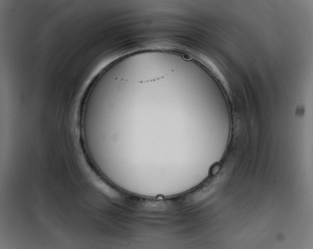 X0000101390843200807071003