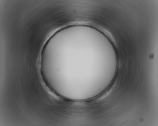 X0000101390844200807071003