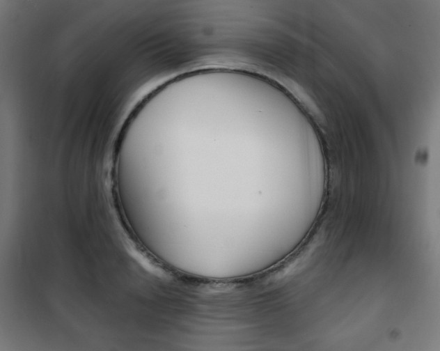 X0000101390846200807071003