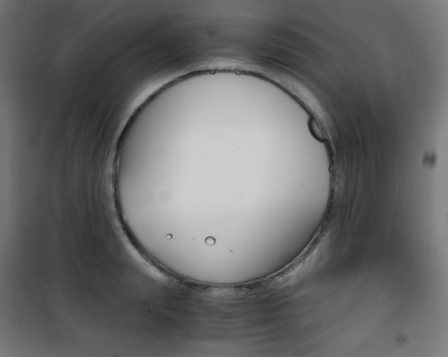 X0000101390847200807071003