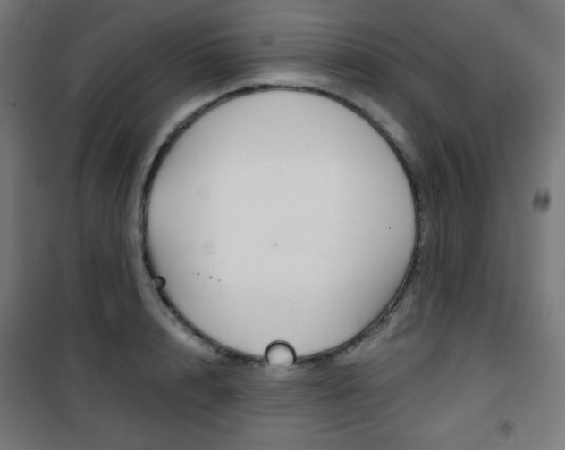 X0000101390848200807071003