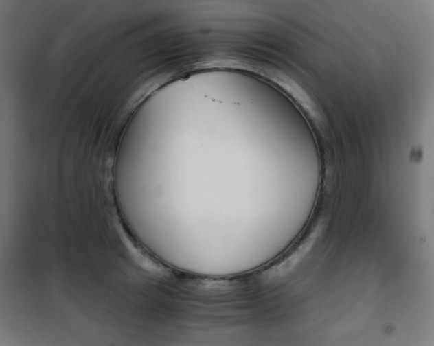 X0000101390849200807071003