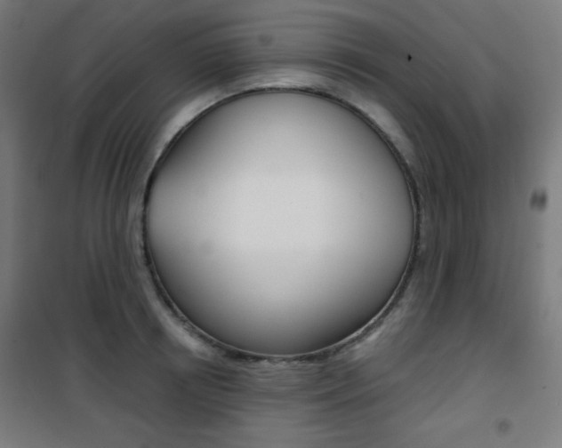 X0000101390850200807071003